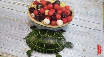 网红瓜怎么整的吃,轻松解锁美味新吃法 第2张 网红瓜怎么整的吃,轻松解锁美味新吃法 第2张